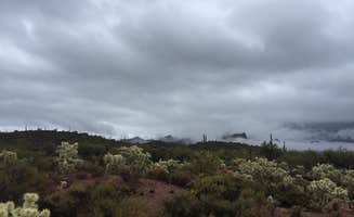 Rebecca O.'s photo of a dispersed camping area at Horse Trails Boondock near Superior, AZ