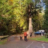 Review photo of Twanoh State Park Campground by Holly  ., January 15, 2021