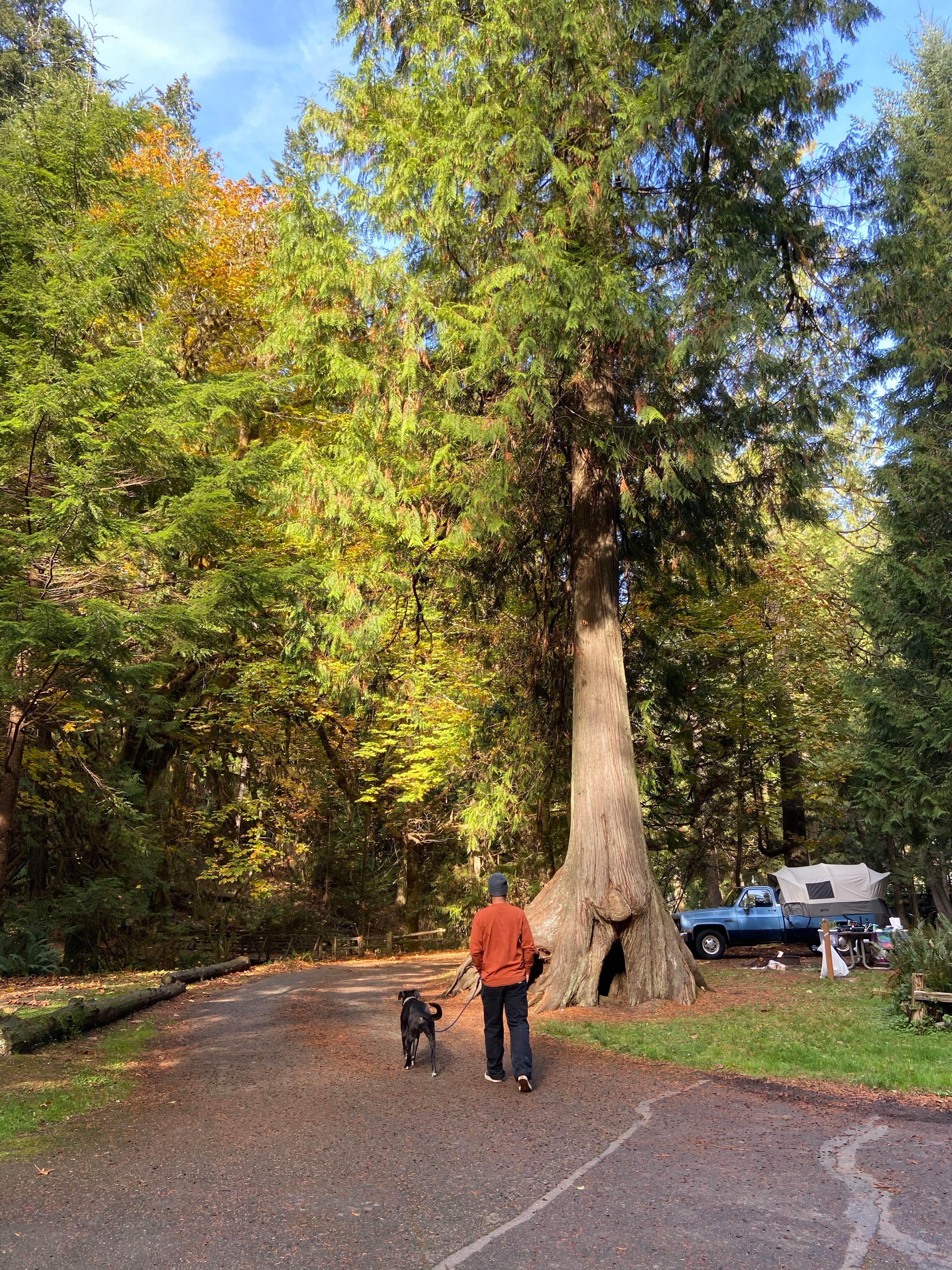 Camper submitted image from Twanoh State Park Campground - 1