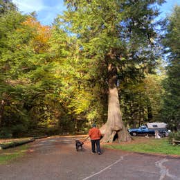 Twanoh State Park Campground