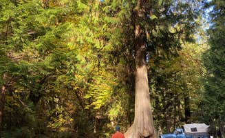 Holly  .'s photo of camping with pets at Twanoh State Park Campground near Olympia, WA