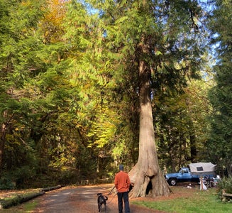 Camper-submitted photo from Twanoh State Park Campground