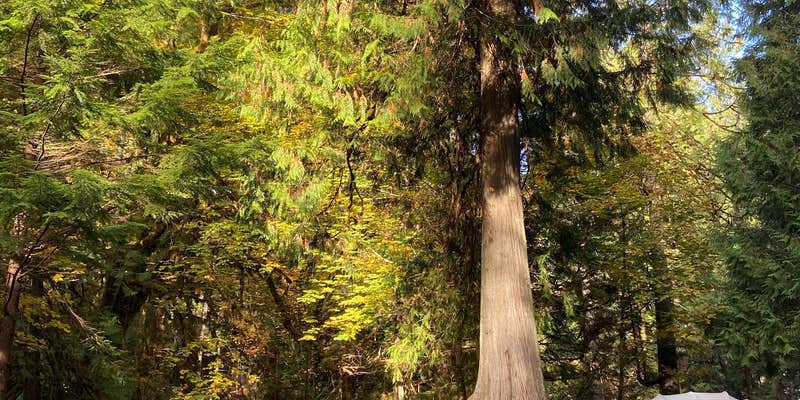 Camper submitted image from Twanoh State Park Campground