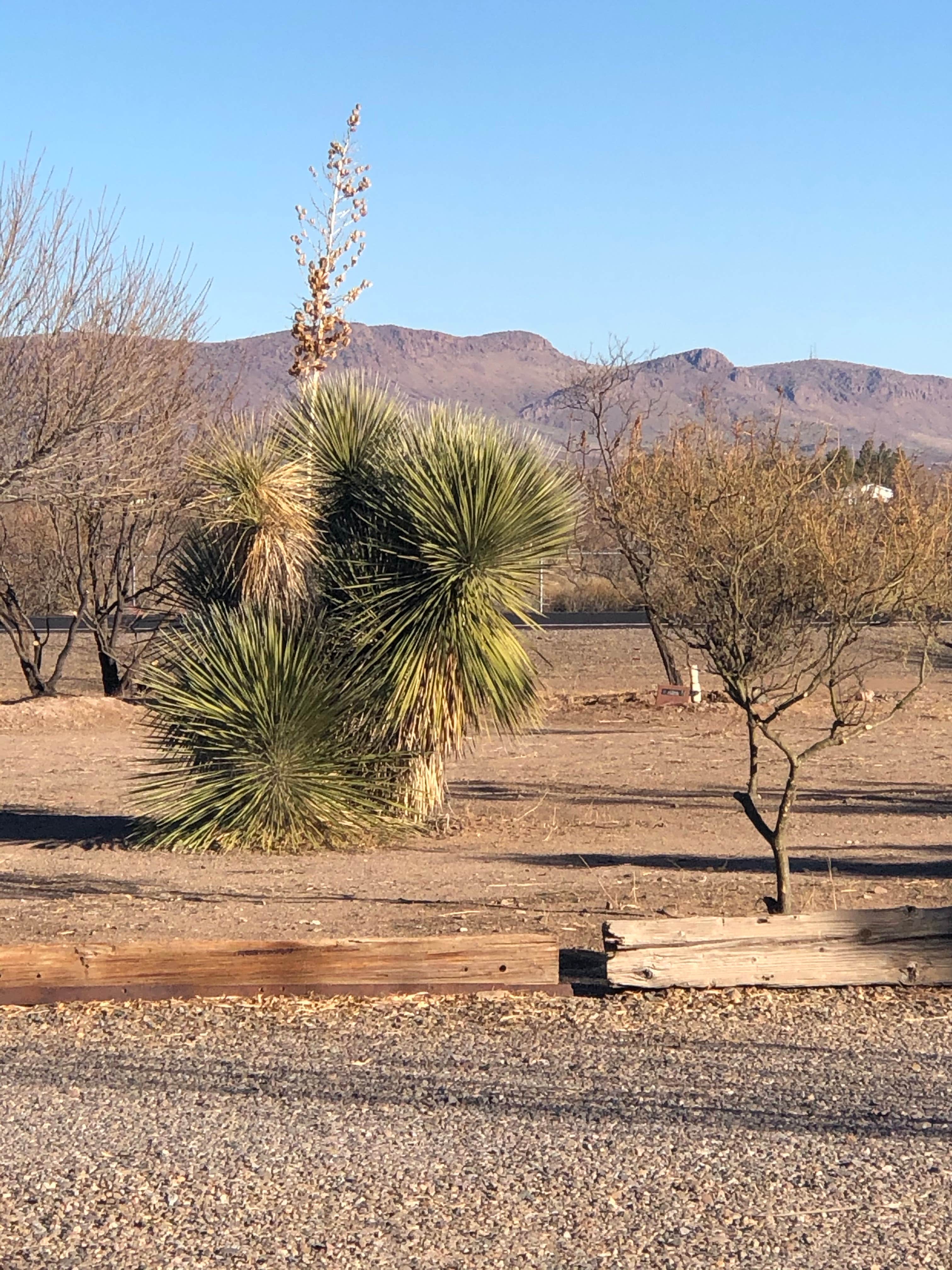 Camping near Dream Catcher RV Park: Low Hi RV Ranch, Deming, New Mexico