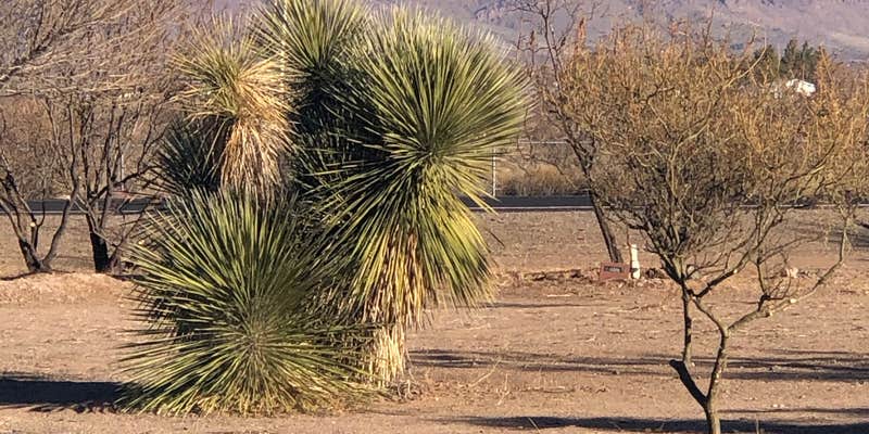 Camper submitted image from Low Hi RV Ranch