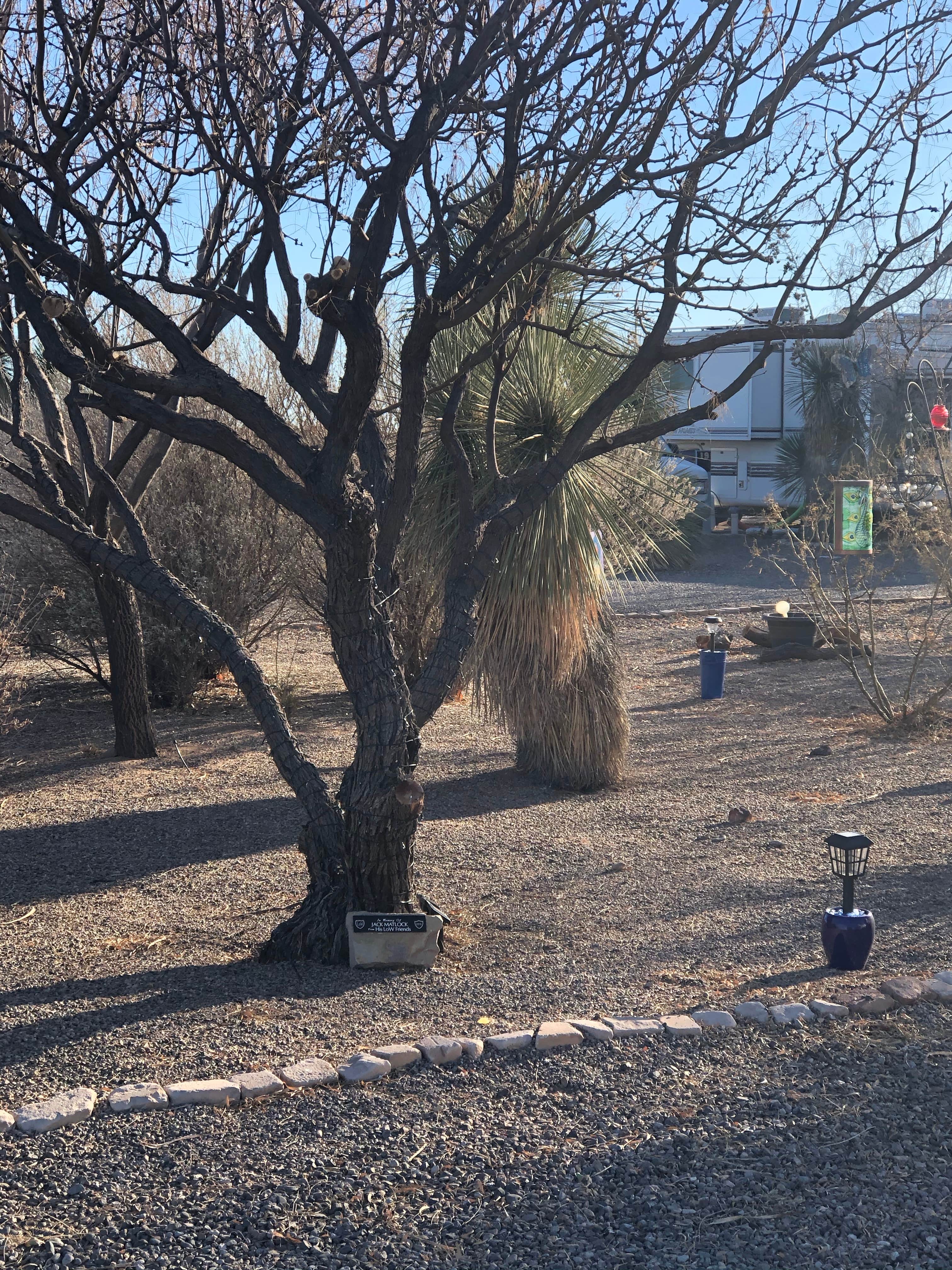 Camper-submitted photo at Low Hi RV Ranch near Faywood, NM