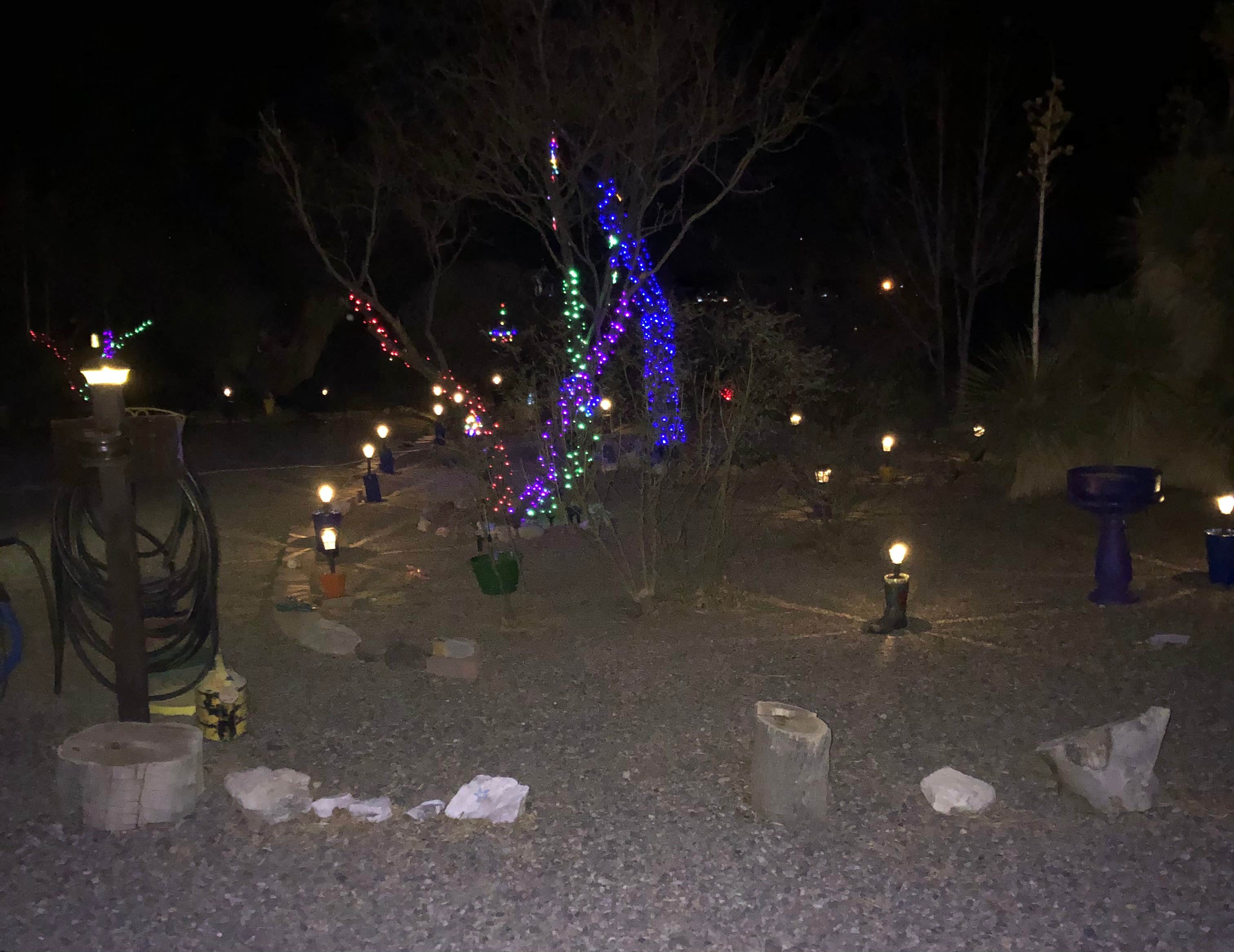 Marilyn's photo of camping with pets at Low Hi RV Ranch in New Mexico