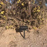 Review photo of Encore Valley Vista by Marilyn , January 15, 2021