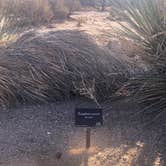 Review photo of Encore Valley Vista by Marilyn , January 15, 2021