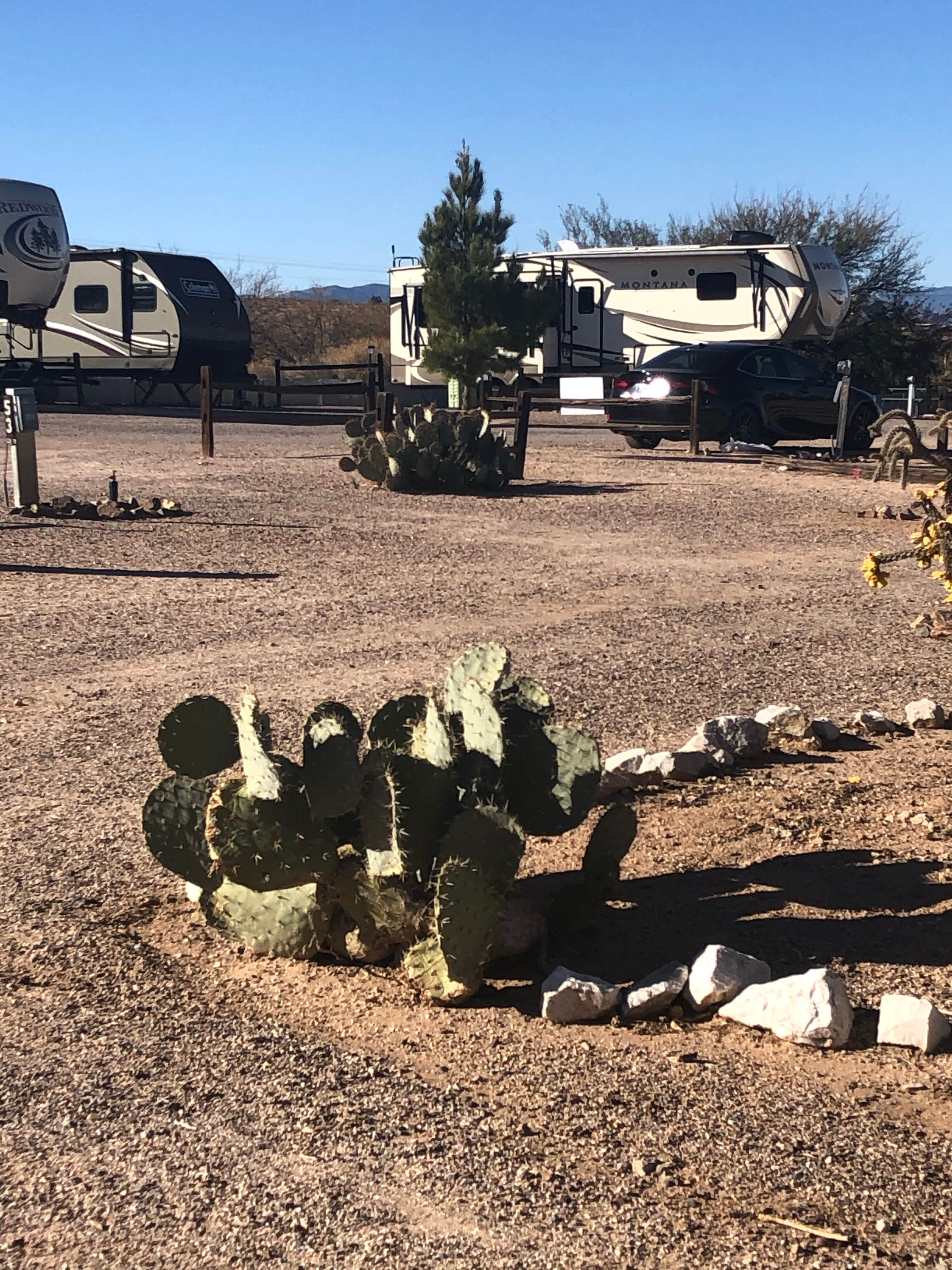 Marilyn's photo at Encore Valley Vista near Huachuca City, AZ