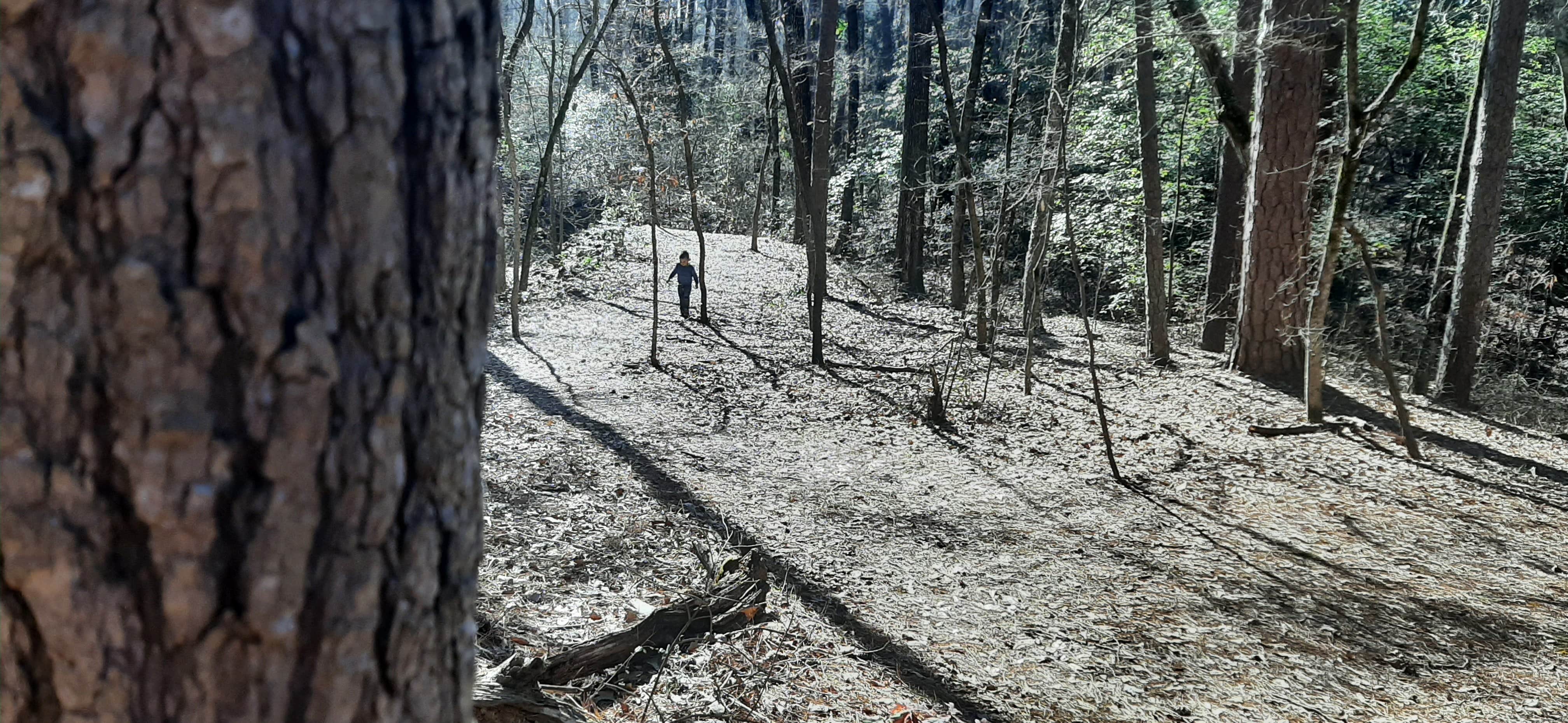 Camper-submitted photo at Daingerfield State Park Campground near Kilgore, TX