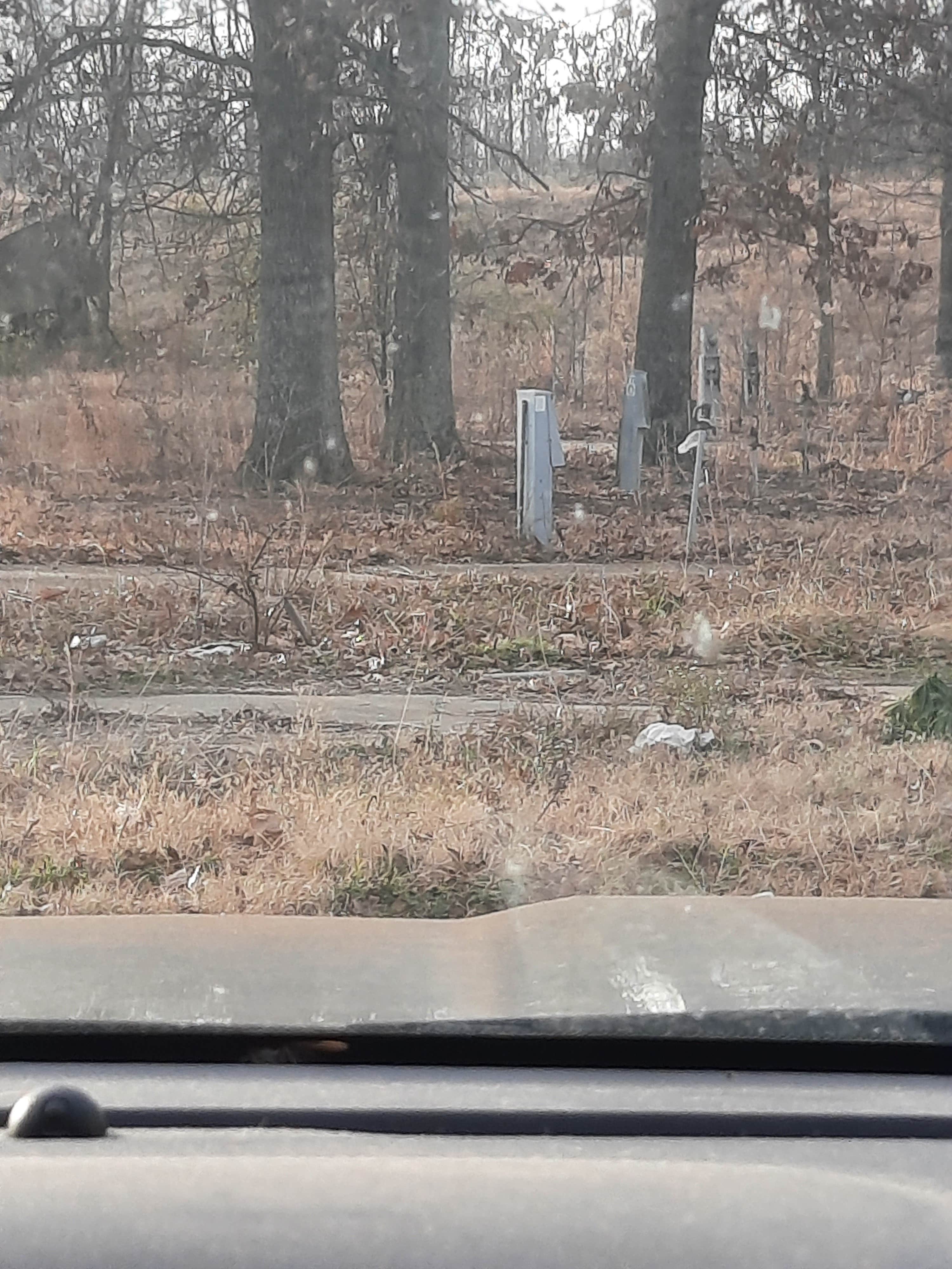 Camper-submitted photo at T Ricks RV Park near Ethel, AR