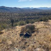 Review photo of Tonto National Forest Dispersed Camping at Lake Roosevelt by Melissa S., January 15, 2021