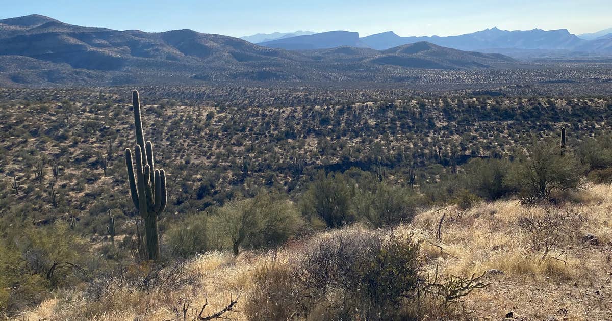 Tonto National Forest Dispersed Camping at Lake Roosevelt