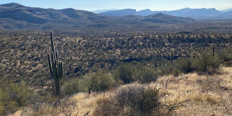 Camper submitted image from Tonto National Forest Dispersed Camping at Lake Roosevelt