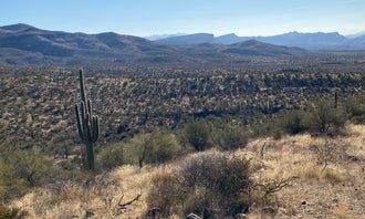 Tonto National Forest Dispersed Camping at Lake Roosevelt