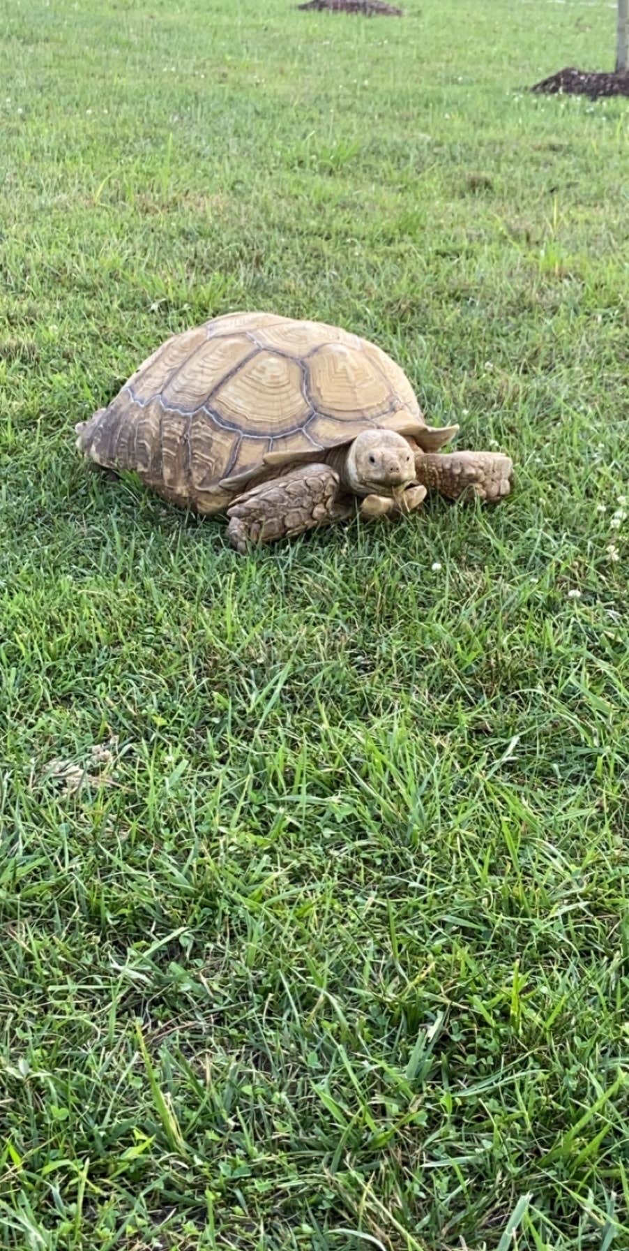 Twin Eagle Lake Estates & Hideout