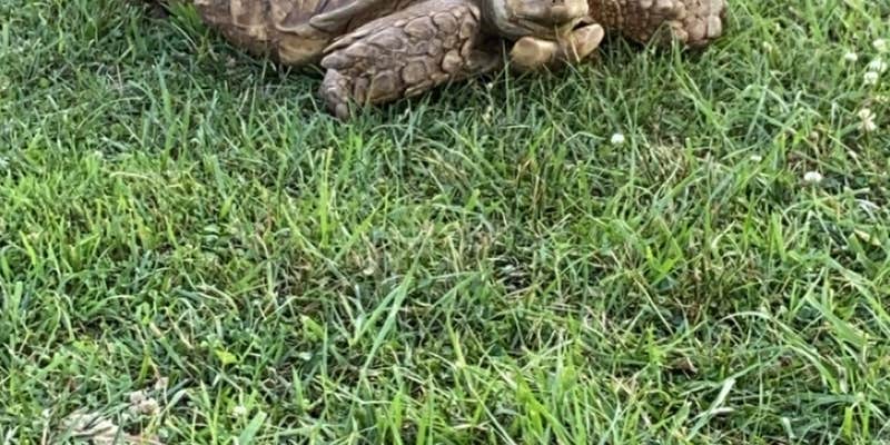 Camper submitted image from Twin Eagle Lake Estates & Hideout