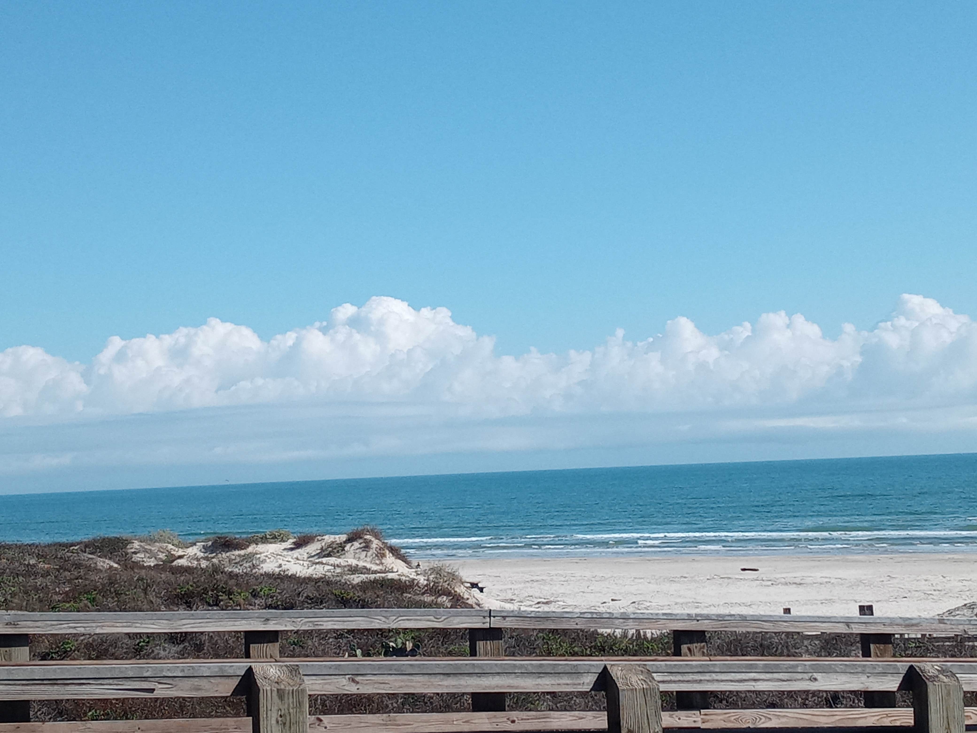 Malaquite Campground Padre Island National Seashore The Dyrt