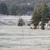 Review photo of Little Creek RV Park by SMCadventures4u  ., January 15, 2021