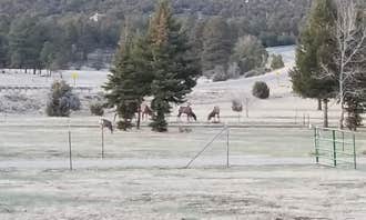 Camping near Monjeau Campground: Little Creek RV Park, Ruidoso, New Mexico