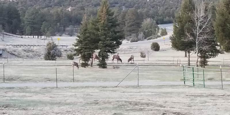 Camper submitted image from Little Creek RV Park