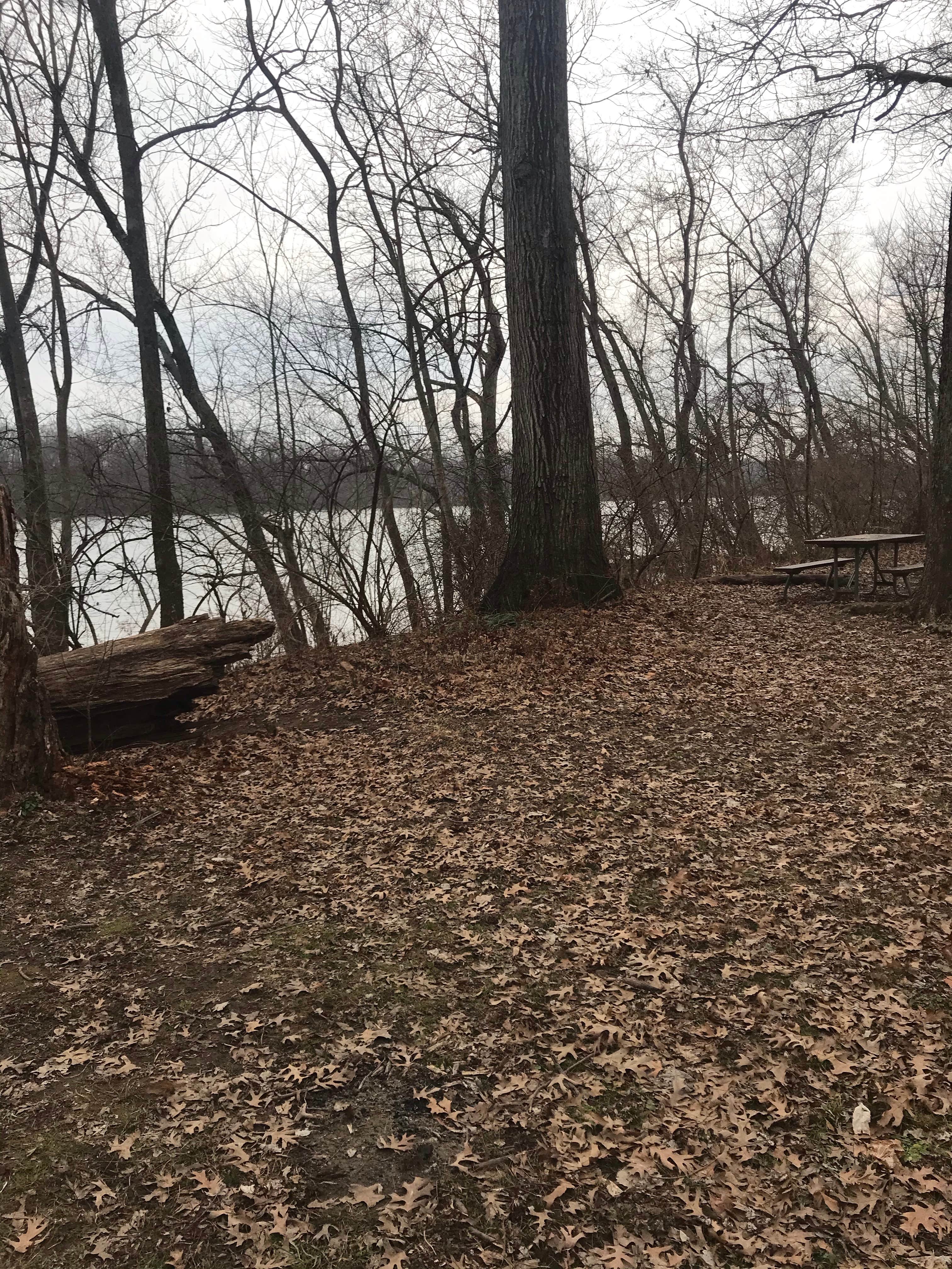 Horsepen Branch Hiker-biker Overnight Campsite — Chesapeake and Ohio Canal National Historical Park