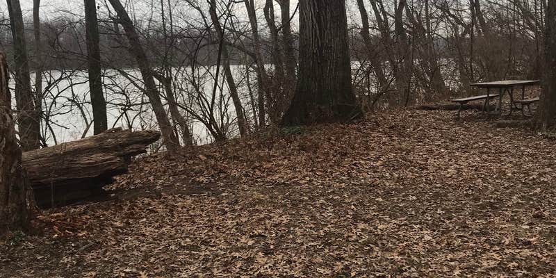 Camper submitted image from Horsepen Branch Hiker-biker Overnight Campsite — Chesapeake and Ohio Canal National Historical Park