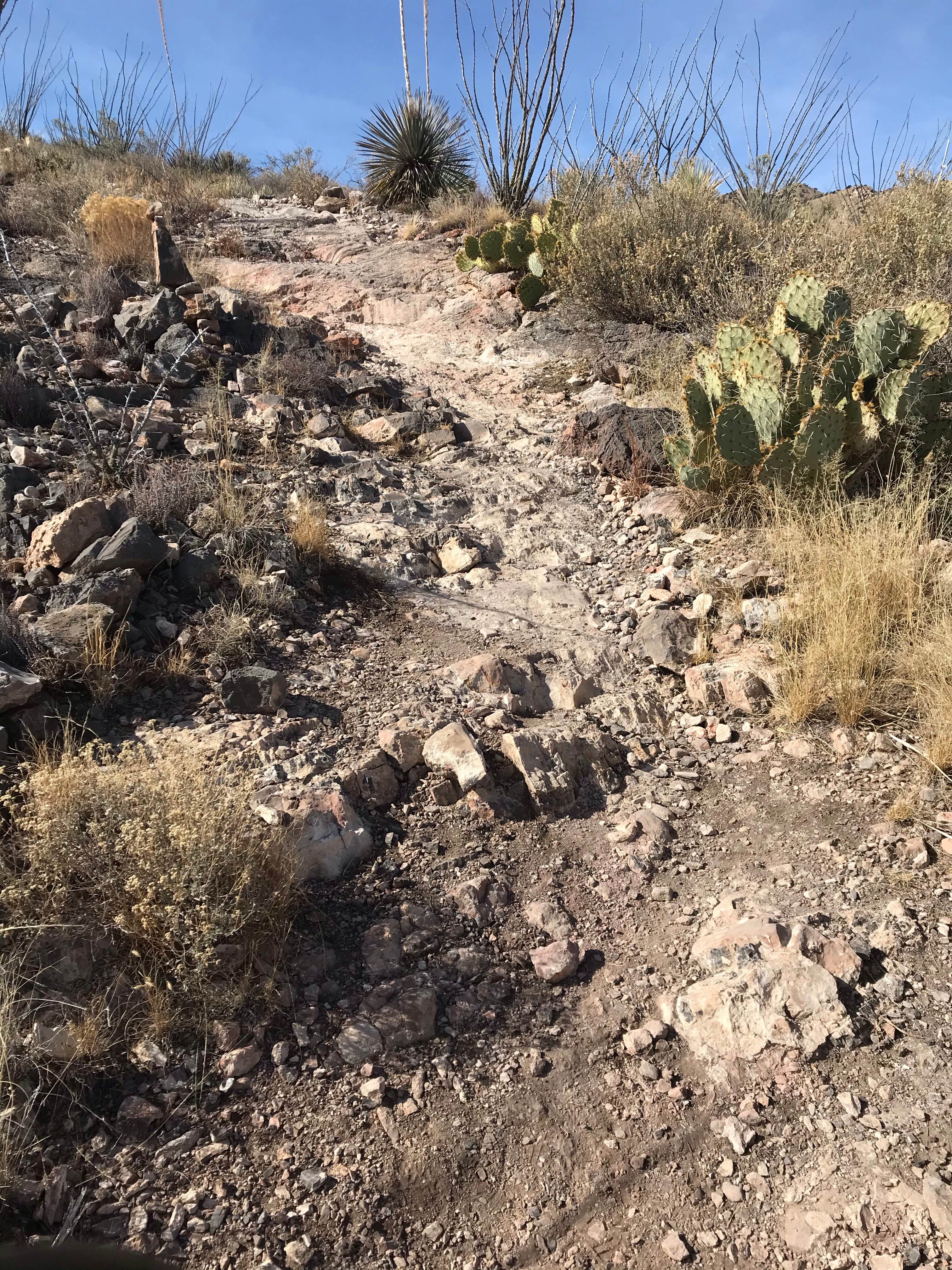 Camper-submitted photo at Kartchner Caverns State Park Campground near Hereford, AZ