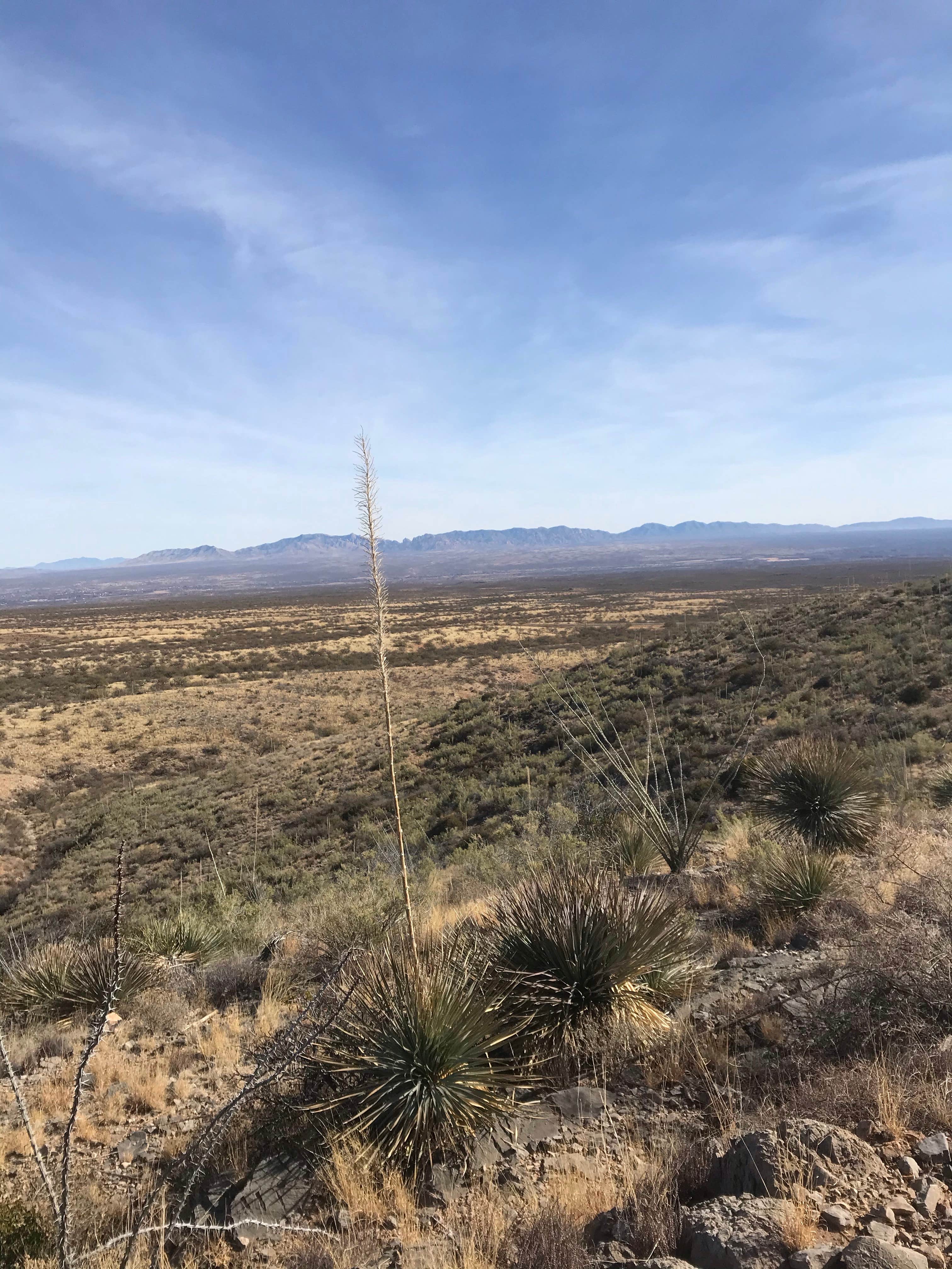 Camper-submitted photo at Kartchner Caverns State Park Campground near Hereford, AZ