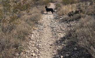 Lisa S.'s photo of camping with pets at Kartchner Caverns State Park Campground near Coronado National Forest