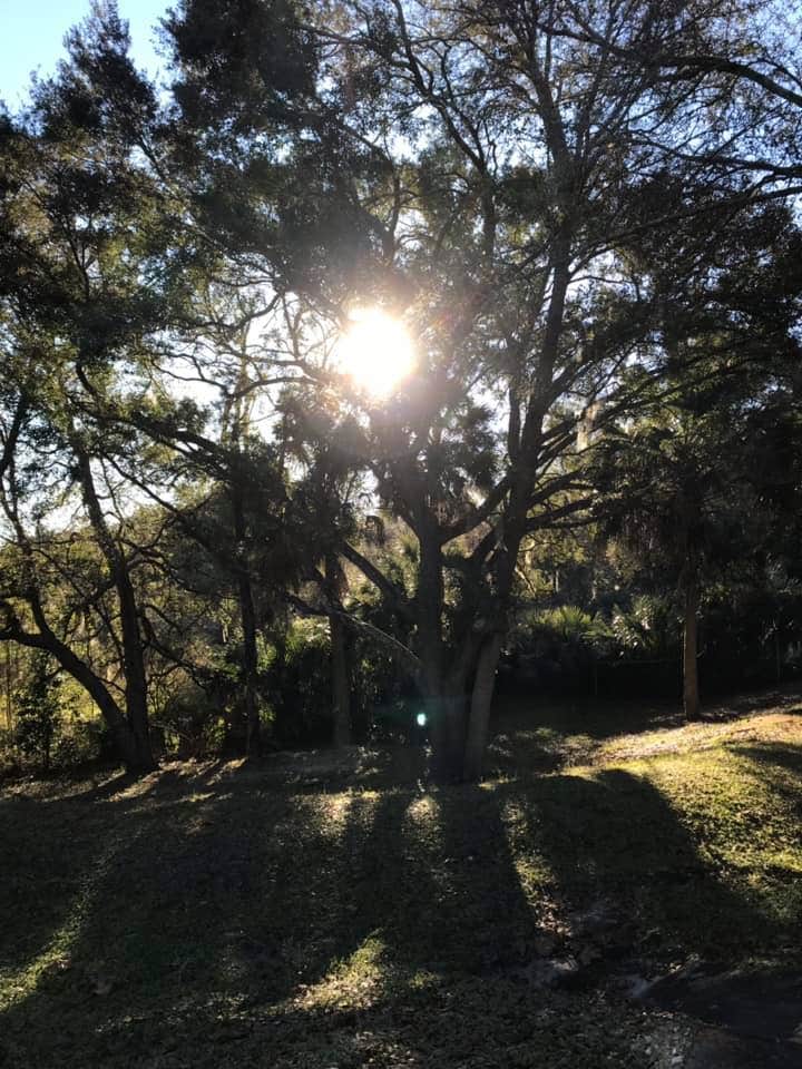 Camping near Nature Coast Landings RV Resort: Quail Roost RV Park, Inglis, Florida