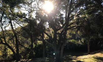 Camping near Rainbow Springs State Park Campground: Quail Roost RV Park, Inglis, Florida