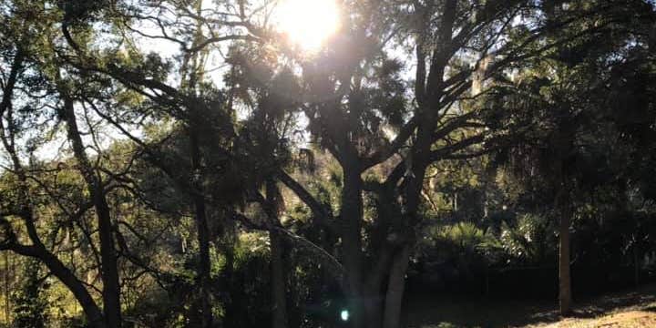 Camper submitted image from Quail Roost RV Park