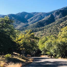 Bog Springs Campground