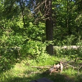 Review photo of Long Lake Campground — Kettle Moraine State Forest-Northern Unit-Iansr by Edel L., May 27, 2018