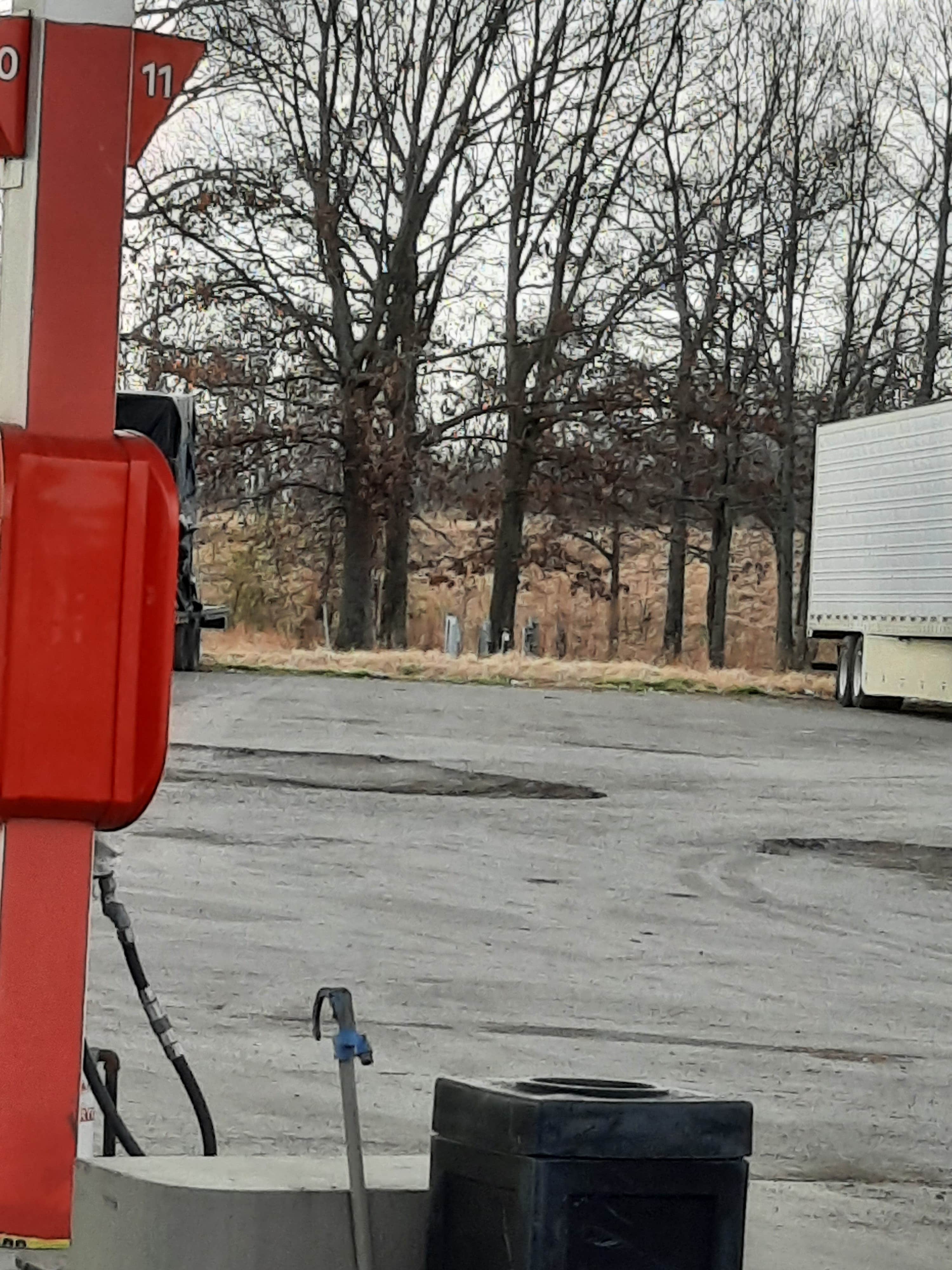 Camper-submitted photo at T Ricks RV Park near Ethel, AR