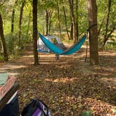 Review photo of Spring Creek Campground — Buffalo National River by Lisa B., January 16, 2021