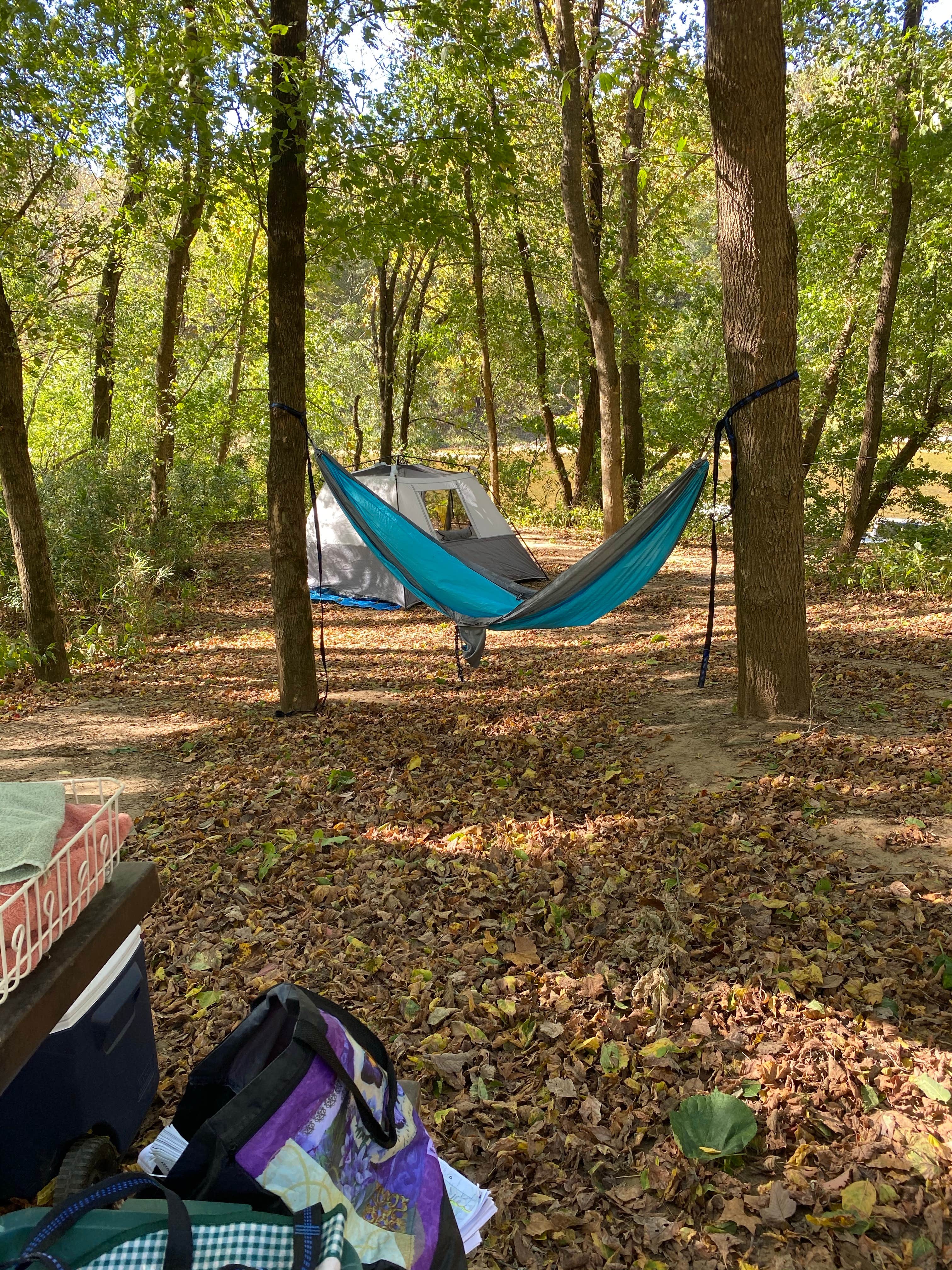 Camper submitted image from Spring Creek Campground — Buffalo National River - 2