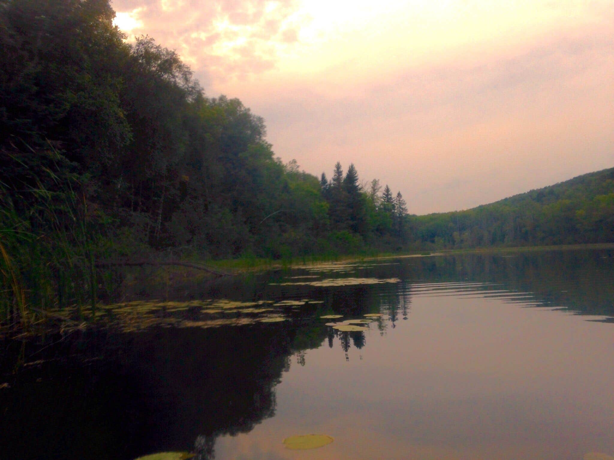 Janet R.'s photo of a dispersed camping area at Little Gulch Lake canoe campsite near Blackduck, MN