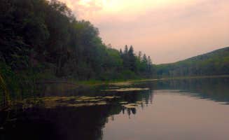 Janet R.'s photo of a dispersed camping area at Little Gulch Lake canoe campsite near Shevlin, MN
