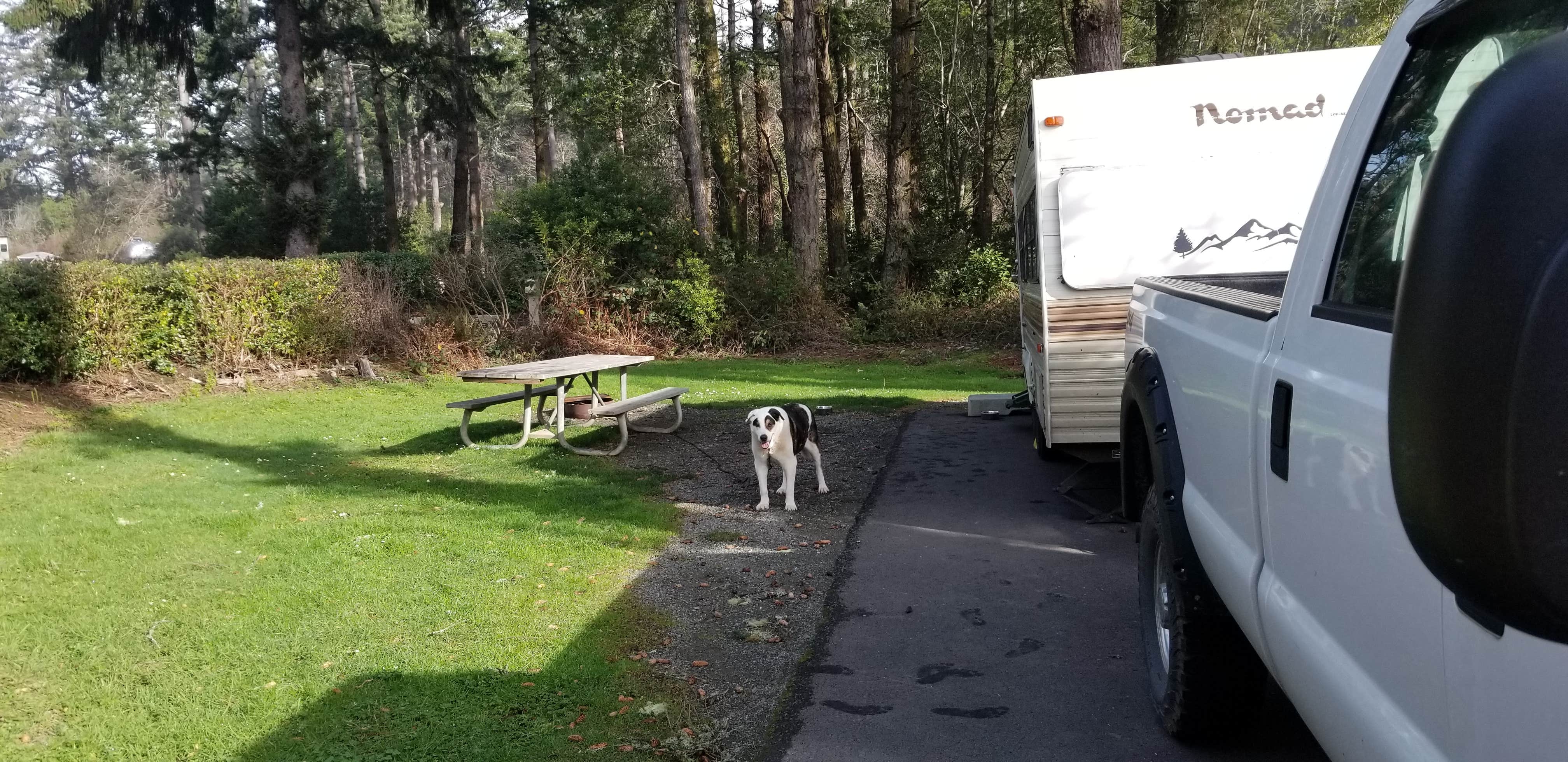Camper-submitted photo at Harris Beach State Park Campground in Oregon