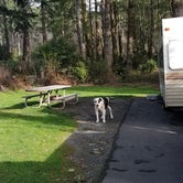 Review photo of Harris Beach State Park Campground by Kristin K., January 16, 2021