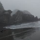 Review photo of Harris Beach State Park Campground by Kristin K., January 16, 2021