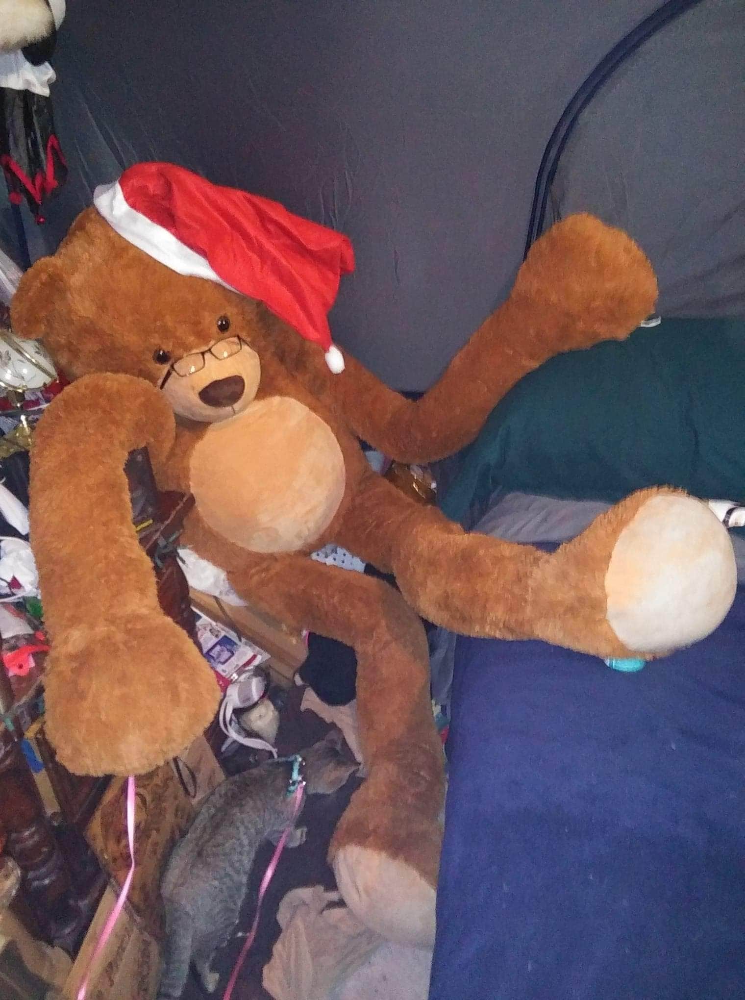 Camper-submitted photo at Harrison Bay State Park Campground in Tennessee