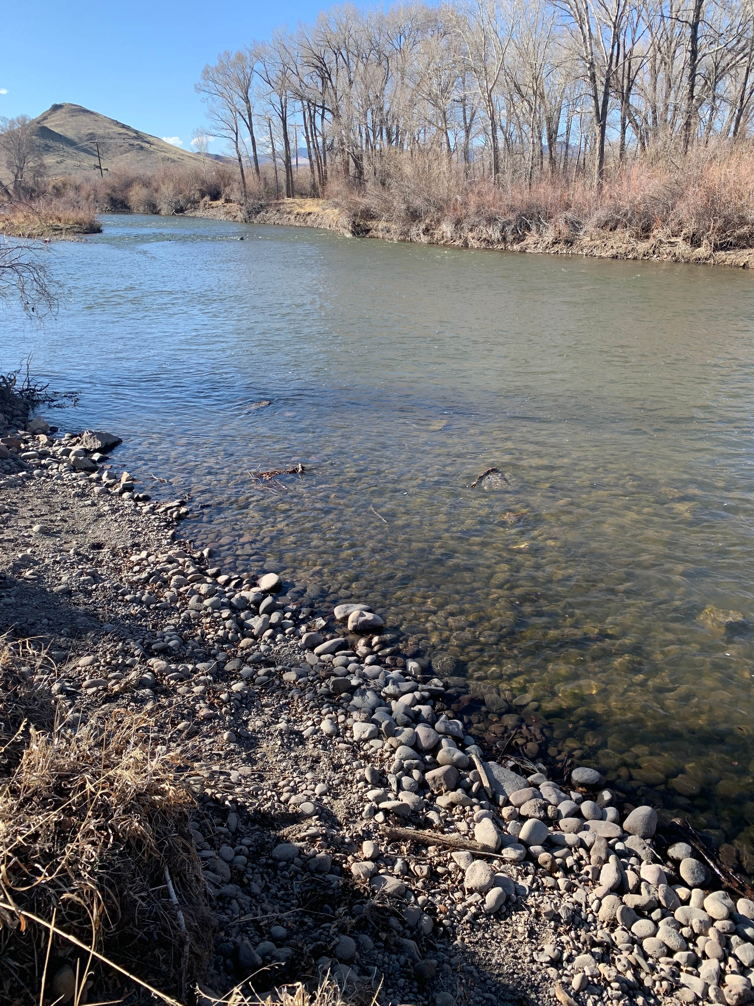 Camper-submitted photo at Woods & River RV Park near Saguache, CO