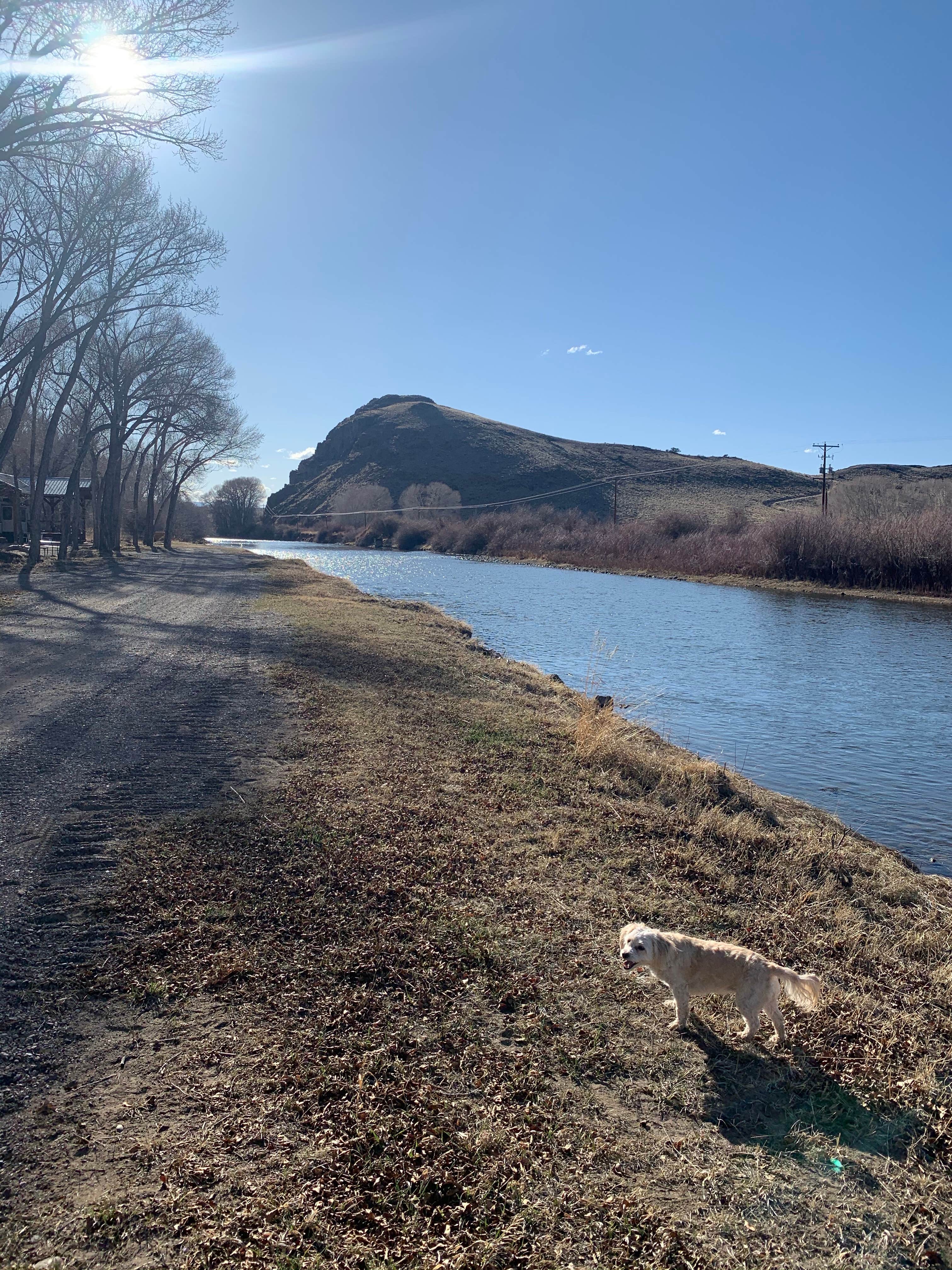 Camper-submitted photo at Woods & River RV Park near Saguache, CO