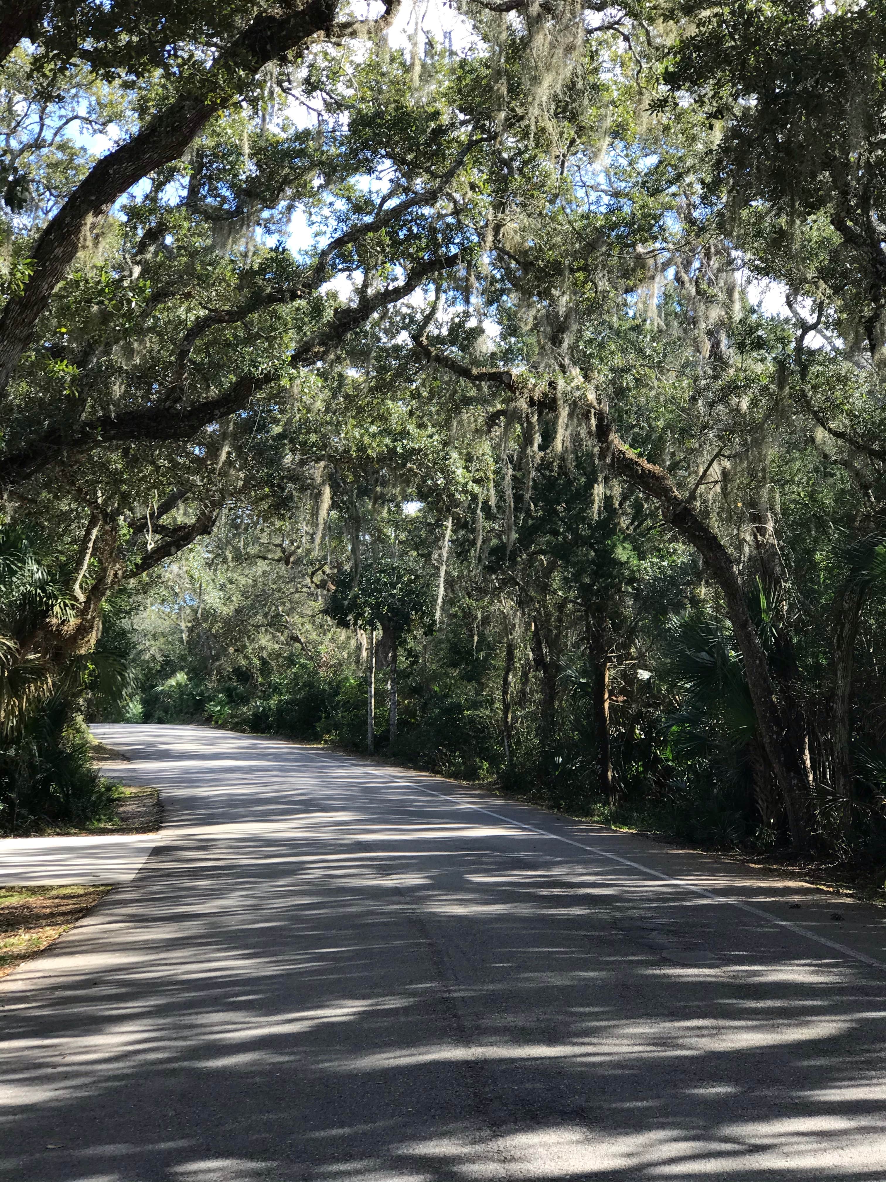 Camper-submitted photo at Anastasia State Park Campground in Florida