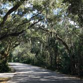 Review photo of Anastasia State Park Campground by Megan J., January 16, 2021