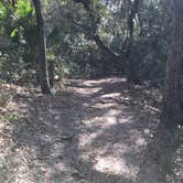 Review photo of Anastasia State Park Campground by Megan J., January 16, 2021